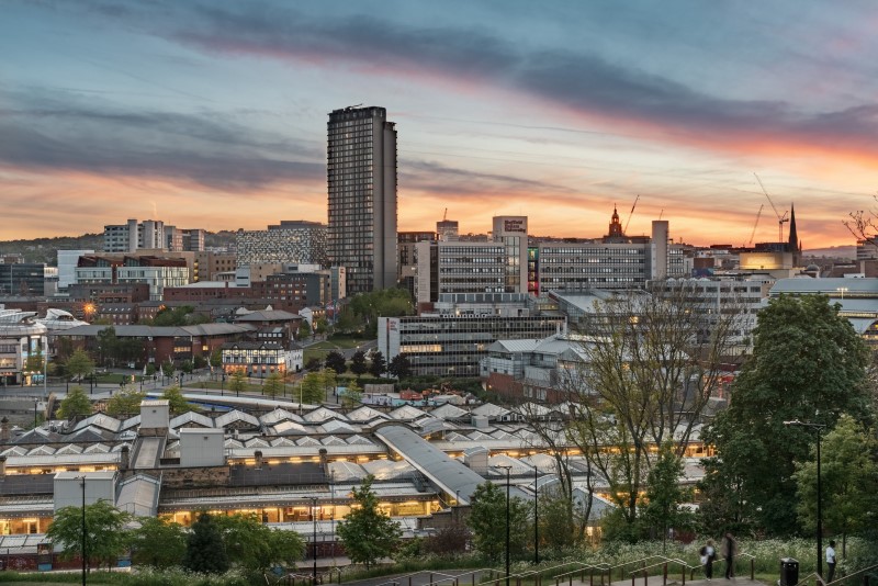 Sheffield City View